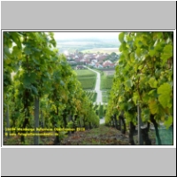 16694 Weinberge Bullenheim Oberfranken 2010.JPG